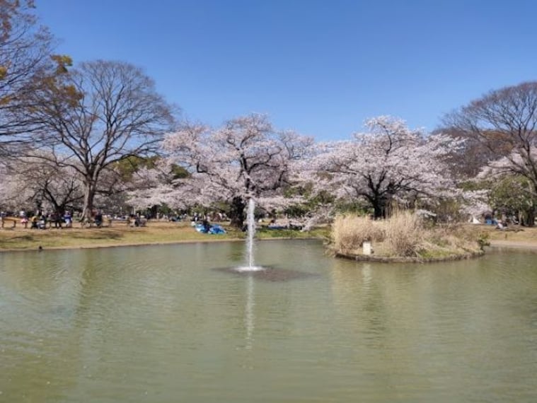 Yoyogi Park-1
